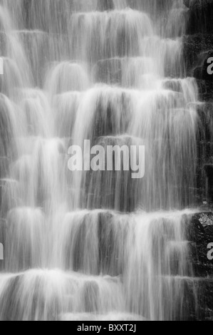 Nahaufnahme von fallen Foss Wasserfall im Sneaton Wald in den North York Moors. Stockfoto