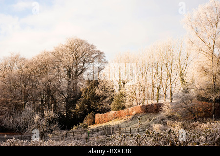 Painswick Rokoko-Garten im Winter nach starken Frost, Gloucestershire, England, Vereinigtes Königreich Stockfoto