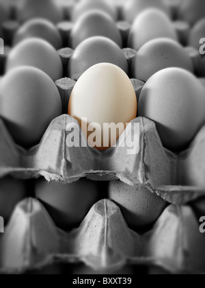 verschiedene farbige Ei in einer Schale mit Eiern. Stockfoto