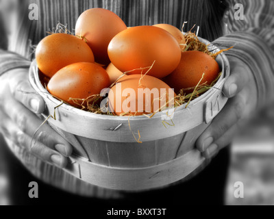 Frische Hähnchen Freilandeier in einem hölzernen Korb Stockfoto