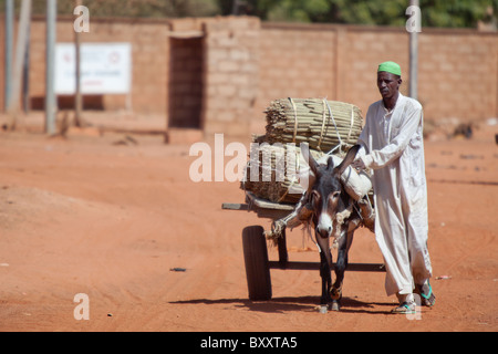 In der Stadt Djibo in nördlichen Burkina Faso ein Mann Heads nach Hause mit einem Bestand von Hirse. Stockfoto