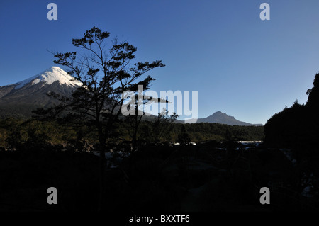 Blauer Himmel Eis Kegel von Volcan Osorno steigt hinter der Silhouette eines Baumes an den Seiten der Petrohue Wasserfall Kaskade, Chile Stockfoto