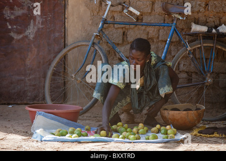 Eine weitere Frau verkauft Guaven auf dem Dorfmarkt von Bourro im nördlichen Burkina Faso. Stockfoto