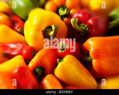 Gemischte rote, grüne, gelbe & orange frische Paprika-Fotos, Bilder & Bilder Stockfoto