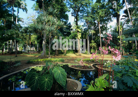 Jardin de l ' Etat (des Staates Garten), Saint-Denis, La Réunion (Frankreich), Indischer Ozean Stockfoto