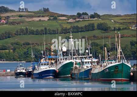 Fischerboote im Hafen von Union Halle, County Cork, Irland Stockfoto