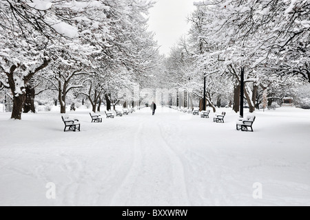 Ein Mann geht in einem Wintermorgen nach Schneesturm in Albany Washington Park, New York. Stockfoto