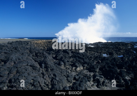 Le Souffleur, Pointe du Tor, südlich von Saint Leu, Insel La Réunion (Frankreich), Indischer Ozean Stockfoto