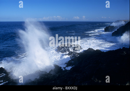 Le Souffleur, Pointe du Tor, südlich von Saint Leu, Insel La Réunion (Frankreich), Indischer Ozean Stockfoto