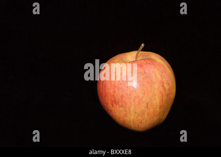 Nahaufnahme der Apfel auf schwarzem Hintergrund isoliert Stockfoto