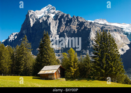 Almen mit traditionellen Häusern--Schweizer Alpen, Grindelwald, Schweiz Stockfoto