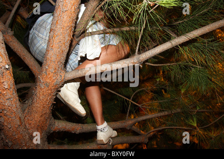 Mann sitzt in einem Baum in der Nacht. Stockfoto