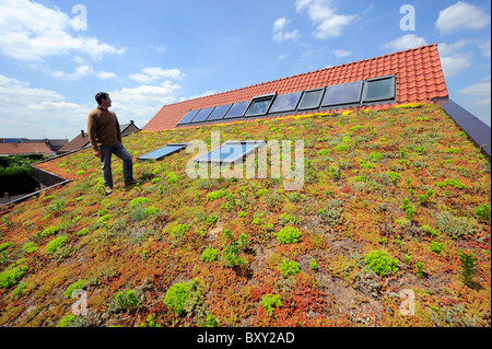 Öko-Selbstversorger Hütte "Fleur de Ciel" im Loos En Gohelle Stockfoto