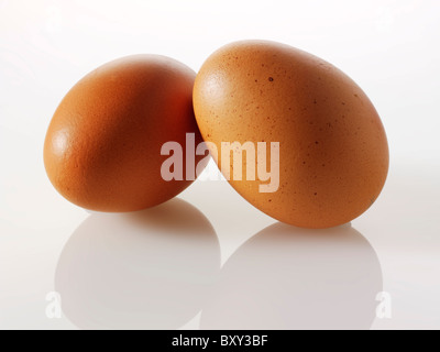Frische Burford Brown kostenlose reichen Bio-Eiern Stockfoto