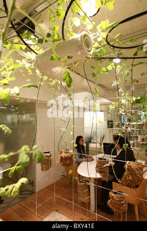 Tokio (Japan): Pasona Konzernzentrale: Urban Farm Pasona Stockfoto