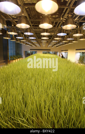 Tokio (Japan): Pasona Konzernzentrale: Urban Farm Pasona Stockfoto