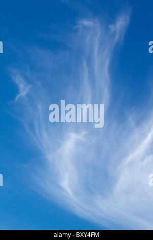 Cirrus Cloud sah aus wie ein Engel Flügel vor blauem Himmel Stockfoto