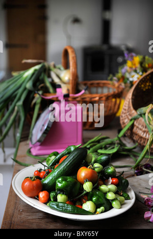 Eine Landhausküche mit frischen Produkten Dorset, UK Stockfoto