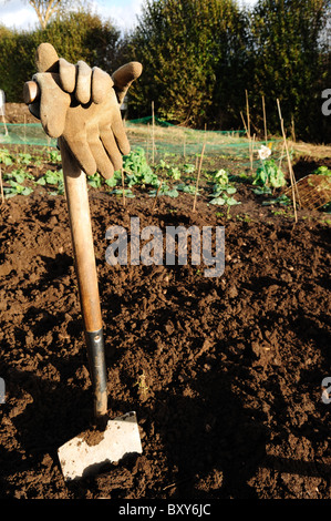 Gartenhandschuhe ruht auf Spaten auf Zuteilung. Stockfoto