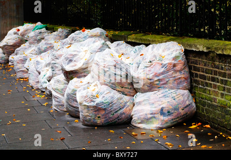 Taschen voller Laub für die Kompostierung, Paddington Street, London, England, UK, Europa Stockfoto