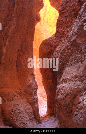 Echidna Chasm, Bungle Bungles Purnululu National Park, Kimberley, Westaustralien Stockfoto