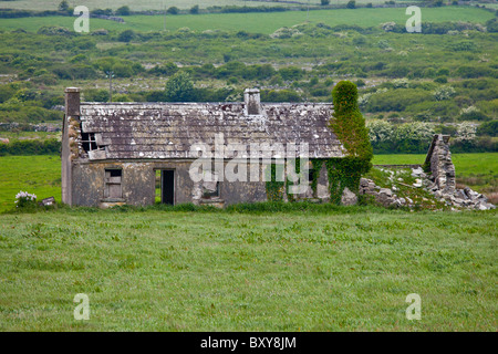 Verfallene alte Periode Hütte renovierungsbedürftig in The Burren im County Clare, Irland Stockfoto