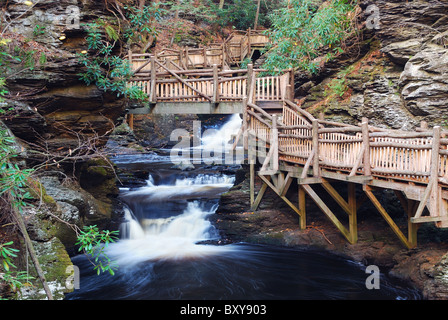 Herbst Creek mit Wanderwegen und Laub im Wald. Bushkill fällt, Pennsylvania. Stockfoto