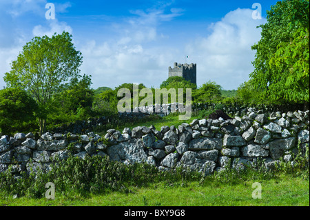 Burg von Dysert O'Dea, 15. Jahrhundert Turmhaus, nahe Corofin, County Clare, westlich von Irland Stockfoto