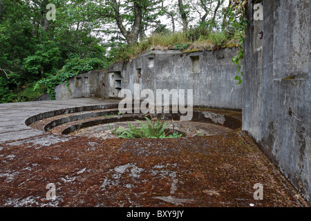 Batterie Batterie Harvey Allen sitzt verlassenen im Cape Enttäuschung State Park. Stockfoto