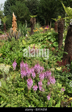 Mount Pleasant Gardens, England. Sommer-Ansicht der Astilben in voller Blüte mit einer Skulptur aus Holz Assistent im Hintergrund. Stockfoto