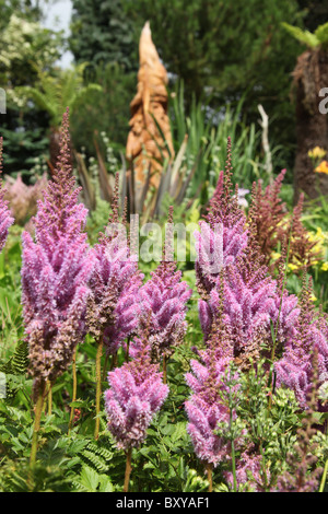 Mount Pleasant Gardens, England. Sommer-Ansicht der Astilben in voller Blüte mit einer Skulptur aus Holz Assistent im Hintergrund. Stockfoto