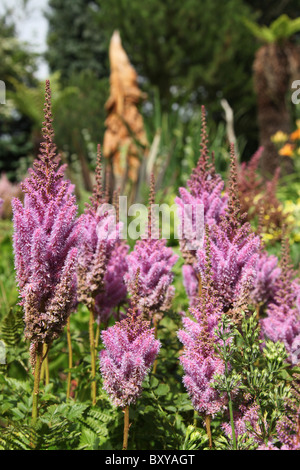 Mount Pleasant Gardens, England. Sommer-Ansicht der Astilben in voller Blüte mit einer Skulptur aus Holz Assistent im Hintergrund. Stockfoto