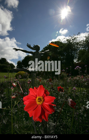 Rode Hall Country House and Gardens. Silhouette niedrigen abgewinkelten Sommer Blick auf eine rote Dahlie in voller Blüte. Stockfoto