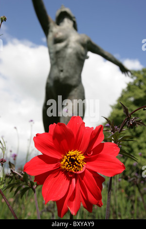 Rode Hall Country House and Gardens. Malerische niedrigen abgewinkelten Sommer Blick auf eine rote Dahlie in voller Blüte. Stockfoto