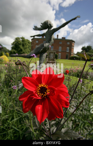 Rode Hall Country House and Gardens. Malerische niedrigen abgewinkelten Sommer Blick auf eine rote Dahlie in voller Blüte. Stockfoto