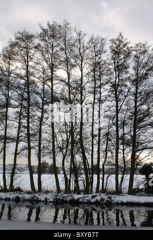 Erlen von Grand Union Canal im Winter mit Schnee Warwickshire UK Stockfoto