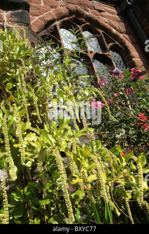 Von Chester, England. Sommer Blick auf Chester Cathedral Klostergarten. Stockfoto