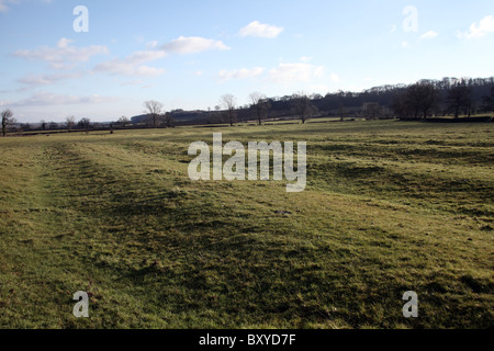 Reste von Ridge und Furche Pflügen in der Nähe von Radway und Edgehill, Warwickshire Stockfoto