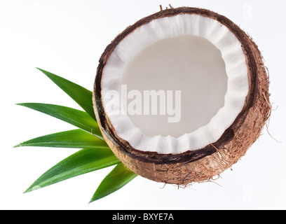 Qualitativ hochwertige Fotos von Kokosnüssen auf weißem Hintergrund. Stockfoto