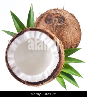 Qualitativ hochwertige Fotos von Kokosnüssen auf weißem Hintergrund. Stockfoto