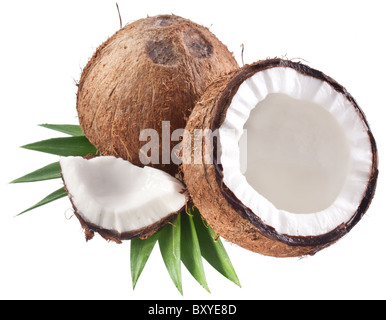 Qualitativ hochwertige Fotos von Kokosnüssen auf weißem Hintergrund. Stockfoto