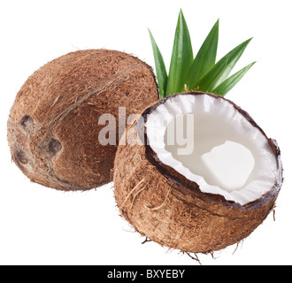 Qualitativ hochwertige Fotos von Kokosnüssen auf weißem Hintergrund. Stockfoto