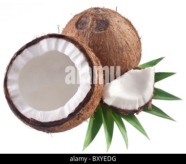 Qualitativ hochwertige Fotos von Kokosnüssen auf weißem Hintergrund. Stockfoto