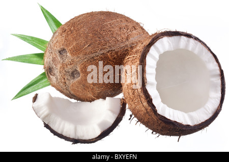 Qualitativ hochwertige Fotos von Kokosnüssen auf weißem Hintergrund. Stockfoto