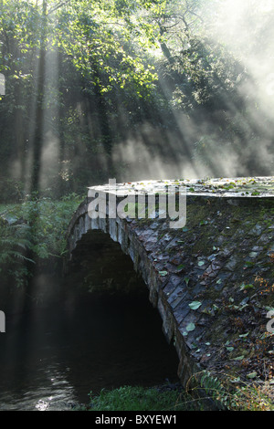 Adlington Hall & Gärten, England.  Dramatische frühmorgens Ansicht der Chinesisch-Brücke über den Fluss Dekan in Adlington Hall. Stockfoto