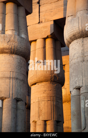 Luxor-Tempel, Ägypten - Säulen bei Sonnenuntergang Stockfoto