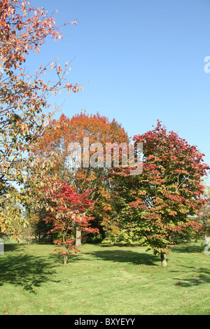 Arley Hall & Gärten, England. Herbstlicher Blick auf Arley Hall Gärten. Stockfoto