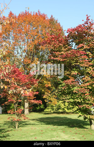 Arley Hall & Gärten, England. Herbstlicher Blick auf Arley Hall Gärten. Stockfoto