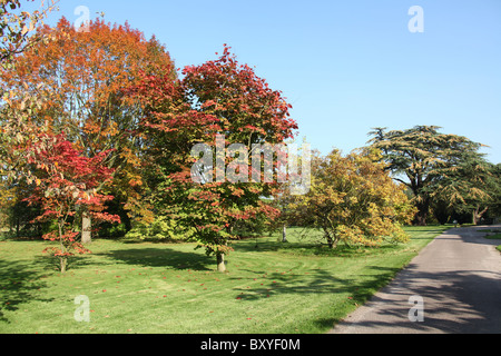 Arley Hall & Gärten, England. Herbstlicher Blick auf Arley Hall Gärten. Stockfoto