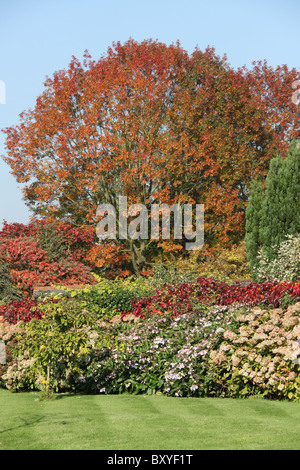 Arley Hall & Gärten, England. Herbstlicher Blick auf Arley Hall Gärten. Stockfoto